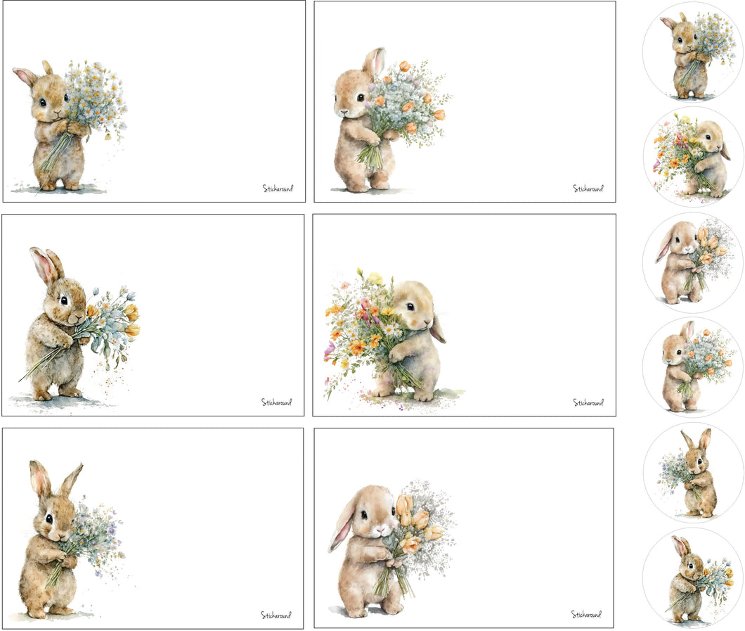 Flower Bunny themed postcards