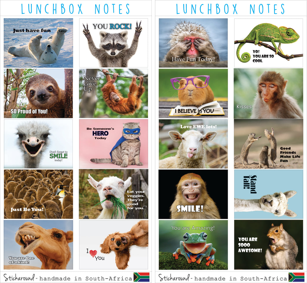 Lunchbox funny animals