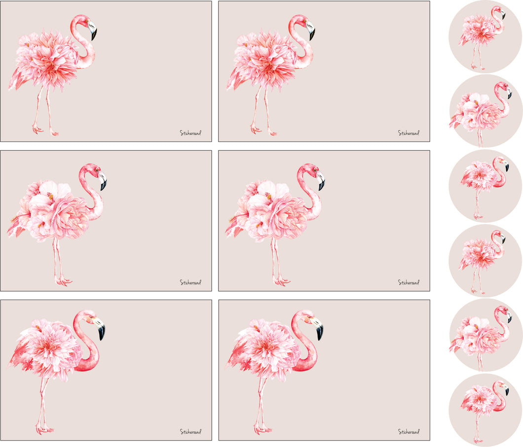 Pink Flamingo themed postcards